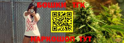 мдпв Гусев