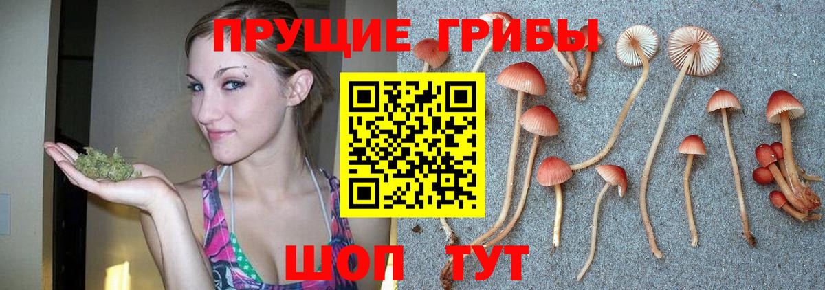 Псилоцибиновые грибы Cubensis  Вход с VPN  Галлюциногенные грибы Psilocybine cubensis  Ревда 